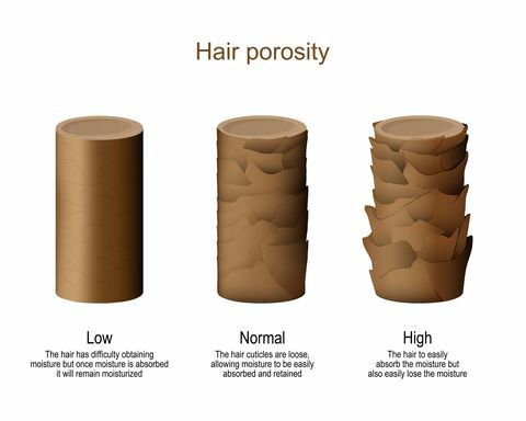 hårporøsitet lavt svært ved at opnå fugt normal, så fugt nemt kan absorberes og fastholdes højt hår for let at miste fugten